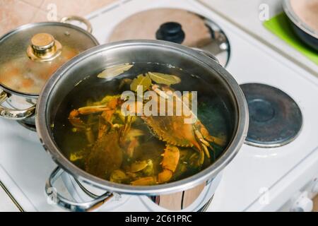 Les crabes bleus sont cuits dans une casserole sur la cuisinière. Banque D'Images