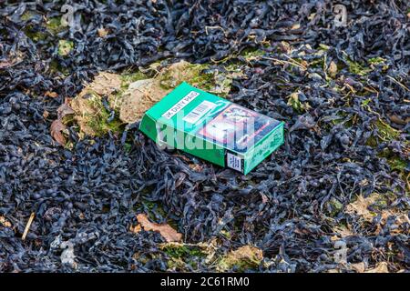 Paquet de cigarettes jeté sur la plage de Portchester, dans le port nord de Portsmouth, Hampshire, Royaume-Uni Banque D'Images