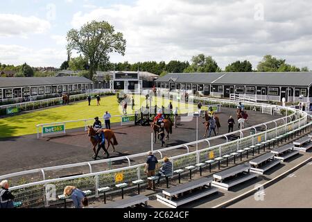 Vue générale dans le paddock avant le BET365handicap Chase à l'hippodrome d'Uttoxeter. Banque D'Images