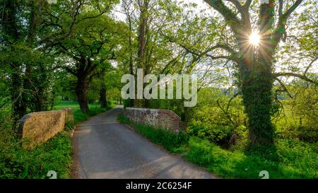 Southwick, Royaume-Uni - 24 avril 2020 : une voie de pays du Hampshire et un ancien pont au-dessus de Beckford, près de Southwick, Royaume-Uni Banque D'Images