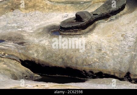 Yehliu Geopark Wanli District Taiwan Deep Narrow Rock Pool entre les fissures rocheuses Banque D'Images