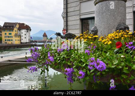 Fontaine décorée de fleurs dans une rue de la ville de Lucerne à l'aube, en Suisse. Faible profondeur de champ Banque D'Images