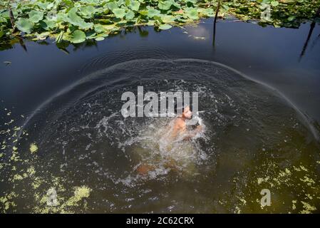Srinagar, Inde. 06e juillet 2020. Un enfant naine dans le lac Dal pendant une chaude journée d'été à Srinagar. Crédit : SOPA Images Limited/Alamy Live News Banque D'Images