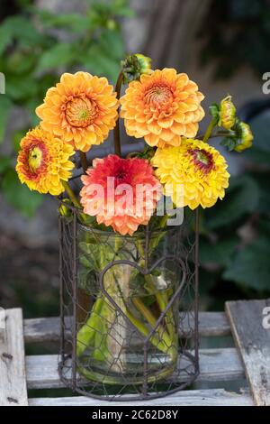 bouquet de fleurs de dahlia en jaune et orange dans un vase en verre Banque D'Images