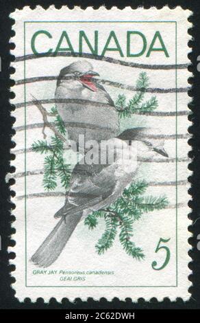 CANADA - VERS 1968 : timbre imprimé par le Canada, montre Gray Jays, vers 1968 Banque D'Images