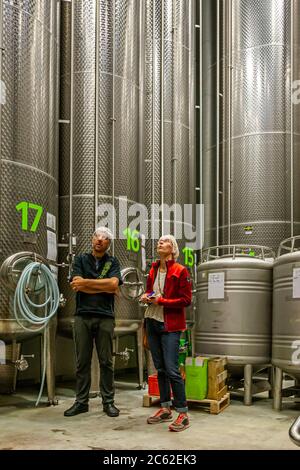 Jörg Geiger Manufaktur pour le vin de fruits et les jus. 42 réservoirs en acier inoxydable - le nouveau grand garde-manger de l'usine II de la manufacture Jörg Geiger Banque D'Images