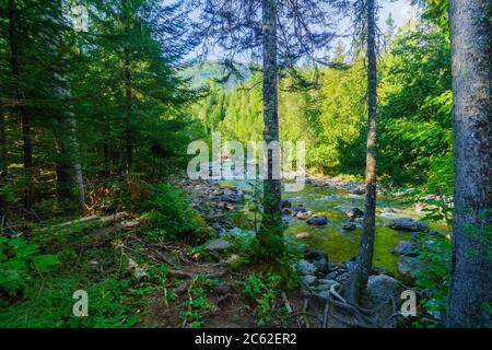 Vue de la rivière Sainte-Anne-du-Nord, dans le Parc National de la Gaspésie, Gaspésie, Québec, Canada Banque D'Images