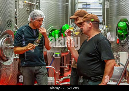 Jörg Geiger Manufaktur pour le vin de fruits et les jus. La coordination de la Cuvée Nr. 22, avec le technicien en jus de fruits Martin Wolf et le cuisinier qualifié Martin Recher - les deux gardiens des secrets des recettes Banque D'Images