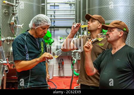 Jörg Geiger Manufaktur pour le vin de fruits et les jus. La coordination de la Cuvée Nr. 22, avec le technicien en jus de fruits Martin Wolf et le cuisinier qualifié Martin Recher - les deux gardiens des secrets des recettes Banque D'Images