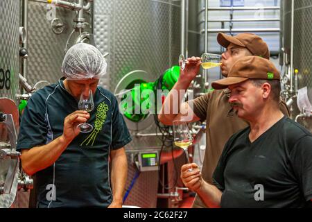 Jörg Geiger Manufaktur pour le vin de fruits et les jus. La coordination de la Cuvée Nr. 22, avec le technicien en jus de fruits Martin Wolf et le cuisinier qualifié Martin Recher - les deux gardiens des secrets des recettes Banque D'Images