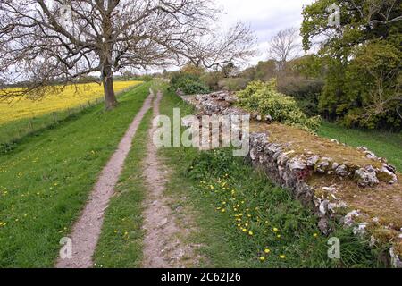 Le magnifique mur romain de Silchester (Calleva Atrebatum), près de Basingstoke, en Angleterre, s'étendant au loin Banque D'Images