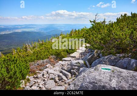 Sentier de montagne dans le parc national de Karkonosze, Pologne. Banque D'Images