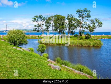 L'île Russky paysage. L'Île Russky est une île au large de Vladivostok en Flandre orientale, la Russie dans le golfe de Pierre le Grand, la mer du Japon. Banque D'Images