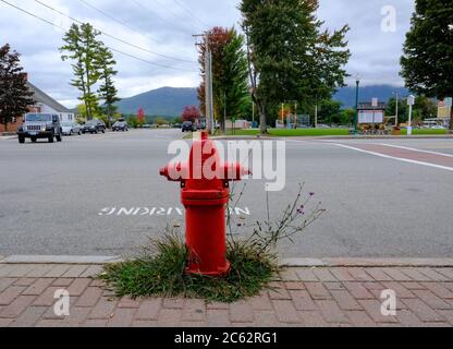 Un poteau incendie classique vu installé sur un trottoir américain très fréquenté, avec des mauvaises herbes qui poussent autour de la base métallique. Banque D'Images