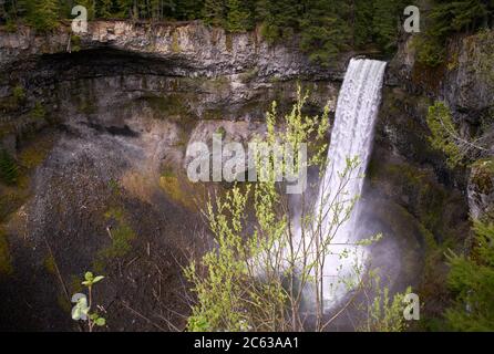 Chute d'eau Brandywine BC Canada. Spectaculaire Brandywine Falls près de Whistler, Colombie-Britannique, Canada. Banque D'Images