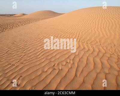 Dunes de sable dans le désert de Ramlat Al Wahiba, connu localement sous le nom de quartier vide, Sultanat d'Oman. Banque D'Images