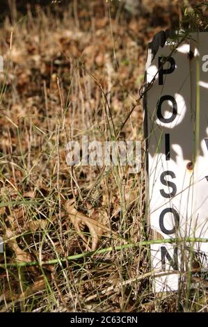 Herbe d'automne saisonnière avec panneau indiquant « poison » Banque D'Images