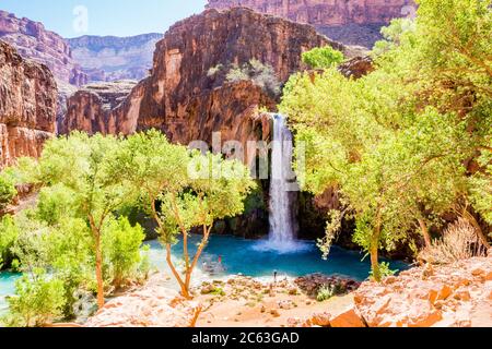 Cascade de Havasu située sur la tribu indienne de Havasupai, dans le nord-ouest de l'Arizona, à côté du parc national du Grand Canyon. Banque D'Images