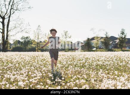 Garçon courant dans un champ herbacé plein de pissenlits le jour de l'été. Banque D'Images