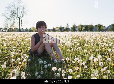 Garçon assis dans un champ herbacé plein de pissenlits le jour de l'été. Banque D'Images