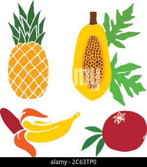 Un ensemble de fruits peints. Ananas, grenade et papaye, banane. Illustration vectorielle Illustration de Vecteur