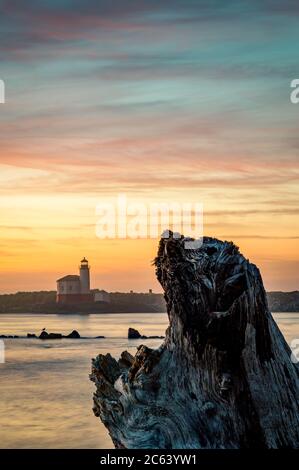Phare vu de l'autre côté de la rivière au crépuscule avec bois flotté, image verticale Banque D'Images