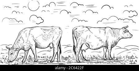 Illustration de deux vaches qui se broutent dans le pré. Élément de conception pour affiche, carte, bannière, emblème. Illustration vectorielle Illustration de Vecteur