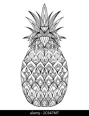 Illustration Doodle ananas avec motif boho. Élément vectoriel pour l'impression sur des tee-shirts, des livres de coloriage pour adultes, des croquis de tatouages et des cartes. Illustration de Vecteur