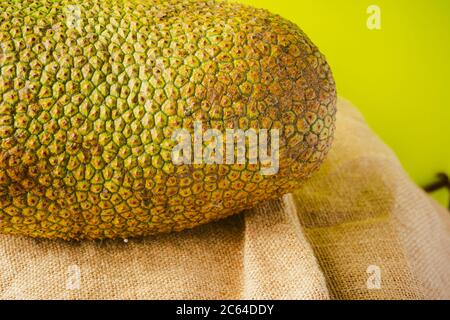 Artocarpus entier, communément appelé chempedak ou cempedak est une espèce d'arbre de la famille des Moraceae, et du même genre que le fruit à pain et le jackf Banque D'Images