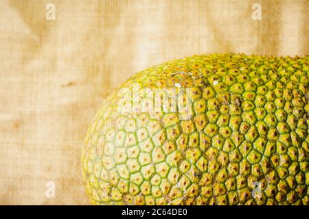 Artocarpus entier, communément appelé chempedak ou cempedak est une espèce d'arbre de la famille des Moraceae, et du même genre que le fruit à pain et le jackf Banque D'Images