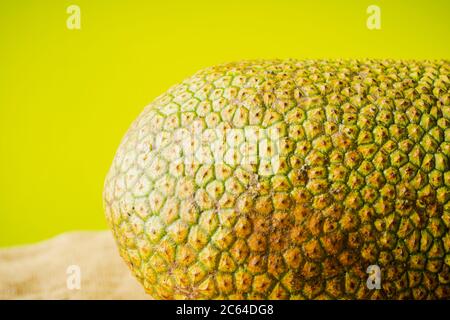 Artocarpus entier, communément appelé chempedak ou cempedak est une espèce d'arbre de la famille des Moraceae, et du même genre que le fruit à pain et le jackf Banque D'Images