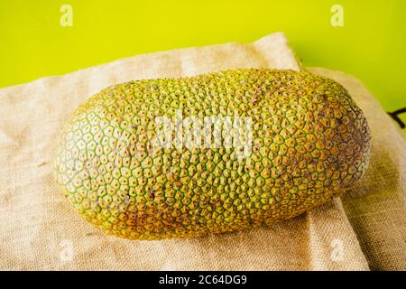Artocarpus entier, communément appelé chempedak ou cempedak est une espèce d'arbre de la famille des Moraceae, et du même genre que le fruit à pain et le jackf Banque D'Images