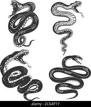 Ensemble d'illustrations de serpent toxique en style gravure. Élément de design pour logo, étiquette, affiche, affiche, t-shirt. Illustration vectorielle Illustration de Vecteur