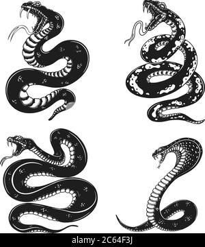 Ensemble d'illustrations de serpent toxique en style gravure. Élément de design pour logo, étiquette, affiche, affiche, t-shirt. Illustration vectorielle Illustration de Vecteur