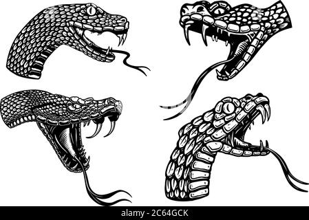 Ensemble d'illustrations de têtes de serpent toxique en style gravure. Élément de design pour logo, étiquette, affiche, affiche, t-shirt. Illustration vectorielle Illustration de Vecteur