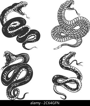 Ensemble d'illustrations de serpent toxique en style gravure. Élément de design pour logo, étiquette, affiche, affiche, t-shirt. Illustration vectorielle Illustration de Vecteur