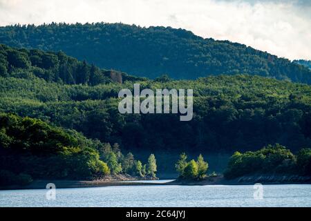 Le Rursee, réservoir dans le Parc National de l'Eifel, rive nord-est près de Heimbach, près du barrage de Rur Schwammenauel, NRW, Allemagne, Banque D'Images