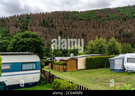 Camping terrain à Heimbach, dans le bassin de poussière de Rur, forêt endommagée, dépérissement de la forêt, germes morts, par le coléoptère de l'écorce, changement climatique, Heimbach, NRW, GE Banque D'Images