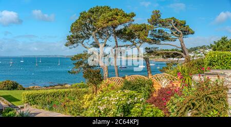 Jardin fleuri sur la côte près de St.Mawes, Cornouailles, Angleterre, Royaume-Uni Banque D'Images