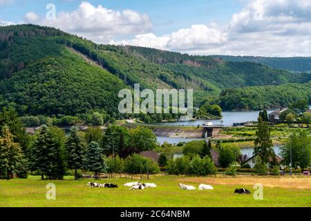 Lac de Rursee, réservoir, baie près du village de Rurberg, barrage d'Eisebachrsee, Parc National d'Eifel, NRW, Allemagne, Banque D'Images