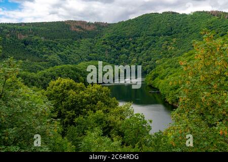 Vue sur le Rursee, réservoir, depuis le barrage du lac Urft, Nationalpark Eifel, NRW, Allemagne, Banque D'Images