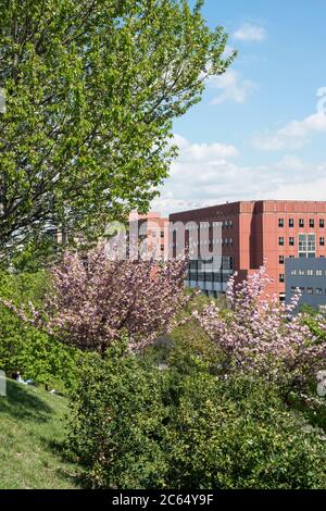 Italie, Lombardie, Milan, Bicocca District, détail de l'Université conçu par Vittorio Gregotti Banque D'Images