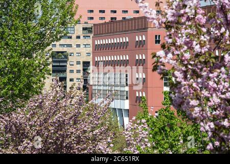 Italie, Lombardie, Milan, quartier Bicocca, Parc Collina dei Ciliegi, détail de l'Université conçue par Vittorio Gregotti Banque D'Images