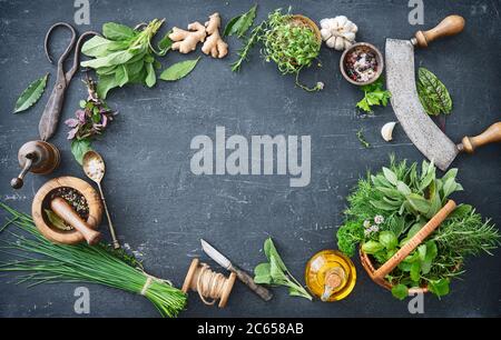 Diverses herbes fraîches du jardin avec ustensiles de cuisine sur table rustique. Vue de dessus avec espace de copie Banque D'Images