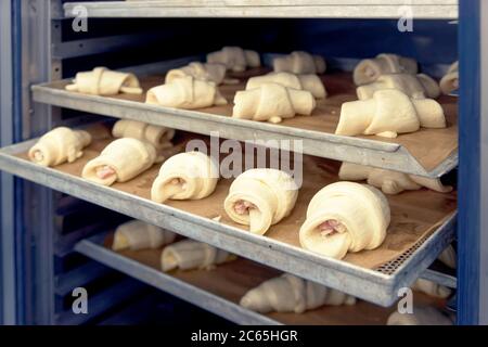 Petits pains crus dans une armoire d'épreuvage, boulangerie commerciale, tons Banque D'Images