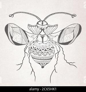 Papillon décoratif d'insecte vectoriel Illustration de Vecteur