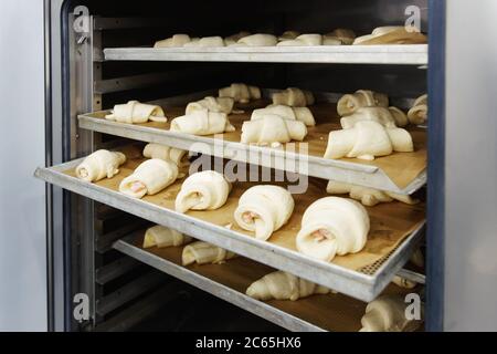 Petits pains crus dans une armoire d'épreuvage, cuisine de boulangerie professionnelle, tons Banque D'Images