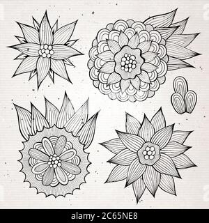 Ensemble d'éléments floraux vectoriels dessinés à la main Illustration de Vecteur