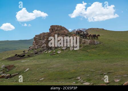 Groupe de chevaux et de vaches sur les hauts plateaux près du lac son Kol. Kirghizistan Banque D'Images