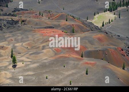 Dunes peintes dans la forêt nationale de Lassen Banque D'Images